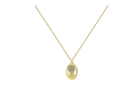 Collar con colgante medalla 1.8cm Virgen del Pilar acero inoxidable dorado