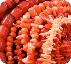 Coral natural