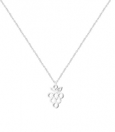 Collar con cadena y Racimo de Uvas, Acero Plateado