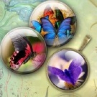 LMINA CON 35 IMGENES 25x25mm Mariposas