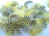 MIX DE PLUMAS AMARILLO 1.8 gr. (Aprox. 15 uds)