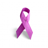 Lazo solidario prpura con imperdible metlico