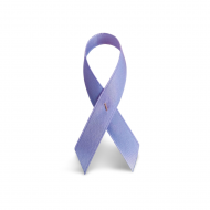 Lazo solidario lavanda con imperdible metlico