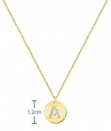 Gargantilla de Acero Dorado con medalla e inicial a escoger