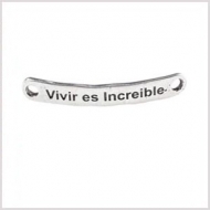 CHAPA ZAMAK BAO PLATA Vivir es increble 40x6.4mm